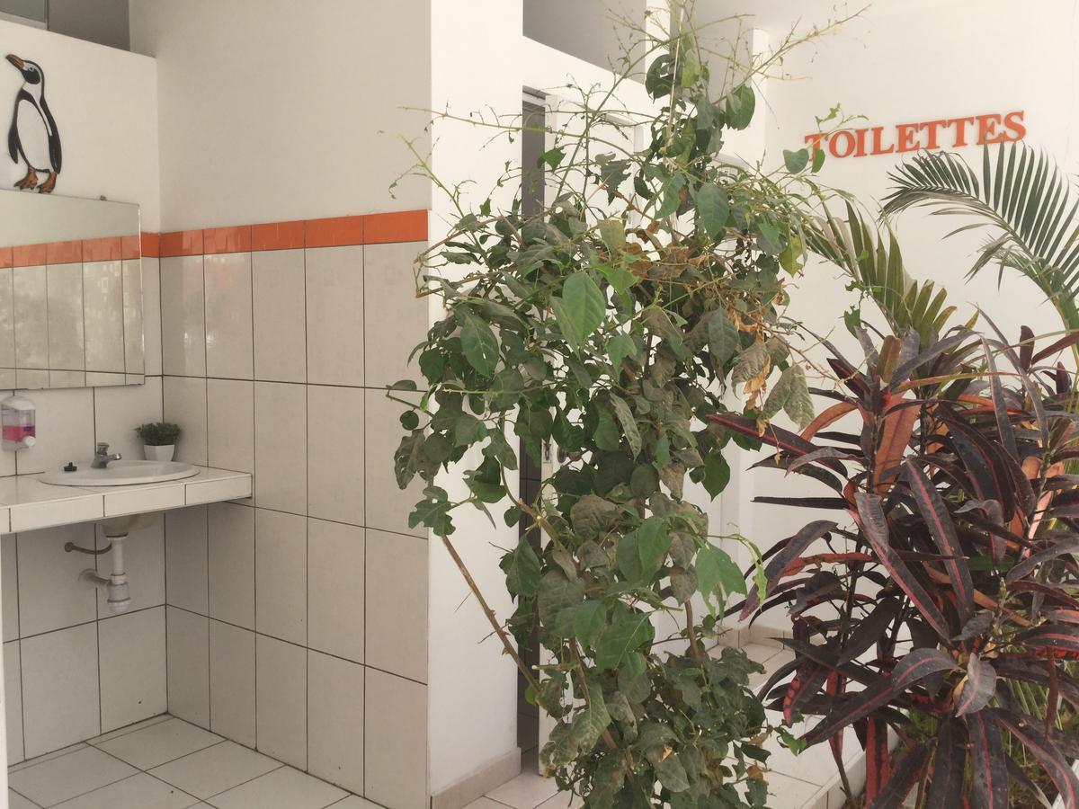 Hostel Backpackers House Paracas